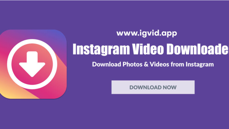 Download Instagram Video Reels Story Photo 